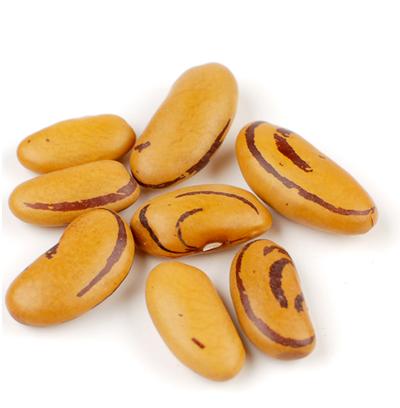 Tiger Eye Beans perfect for soups and chili!