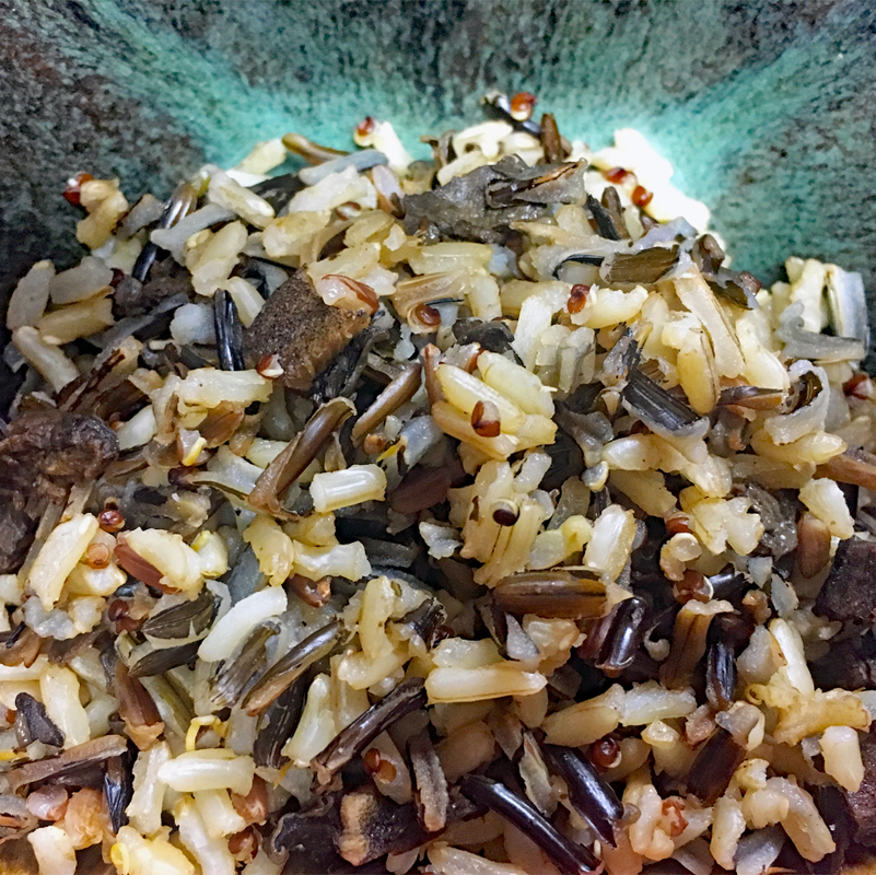 Savory Mushroom Blend