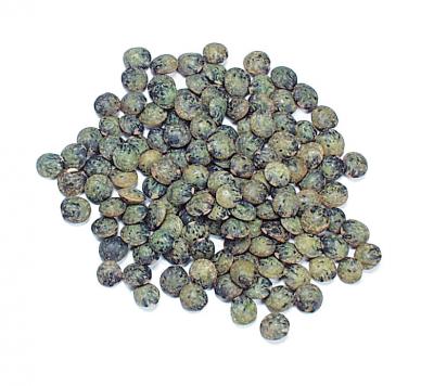 French Green Lentils