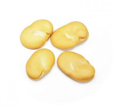 Habas (Peeled Fava)