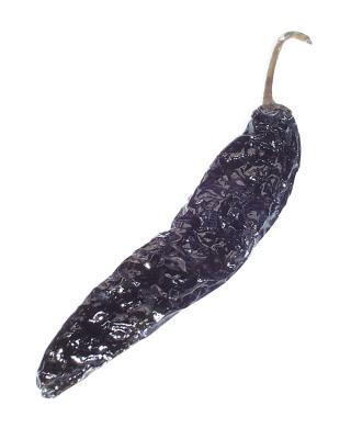 Pasilla Negro Chile
