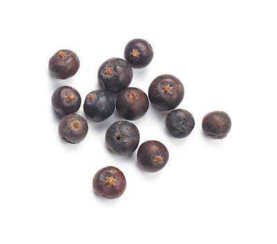 Jumbo Juniper Berries